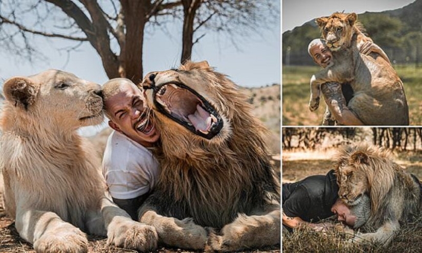 Hugging the Lions: Dean Schneider, the Swiss financier who gave up everything and went to Africa Hugging the Lions: Dean Schneider, the Swiss financier who gave up everything and went to Africa