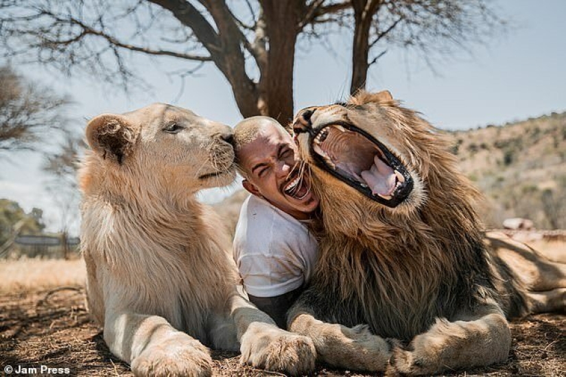 Hugging the Lions: Dean Schneider, the Swiss financier who gave up everything and went to Africa Hugging the Lions: Dean Schneider, the Swiss financier who gave up everything and went to Africa