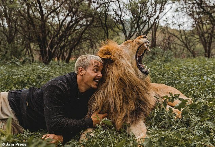 Hugging the Lions: Dean Schneider, the Swiss financier who gave up everything and went to Africa Hugging the Lions: Dean Schneider, the Swiss financier who gave up everything and went to Africa