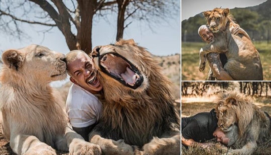 Hugging the Lions: Dean Schneider, the Swiss financier who gave up everything and went to Africa Hugging the Lions: Dean Schneider, the Swiss financier who gave up everything and went to Africa