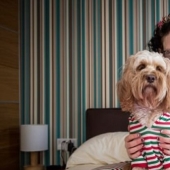 "I love Lola more than my son": a British woman bought 68 gifts for a thousand pounds for a dog "I love Lola more than my son": a British woman bought 68 gifts for a thousand pounds for a dog