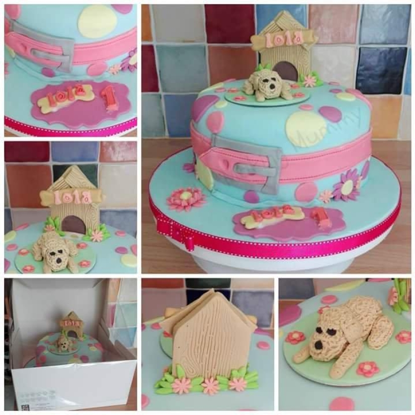 "I love Lola more than my son": a British woman bought 68 gifts for a thousand pounds for a dog "I love Lola more than my son": a British woman bought 68 gifts for a thousand pounds for a dog