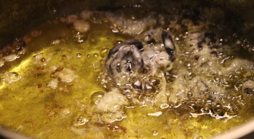 "I started hallucinating and thinking about death": An Australian journalist ate beetles for a week for the sake of an experiment "I started hallucinating and thinking about death": An Australian journalist ate beetles for a week for the sake of an experiment