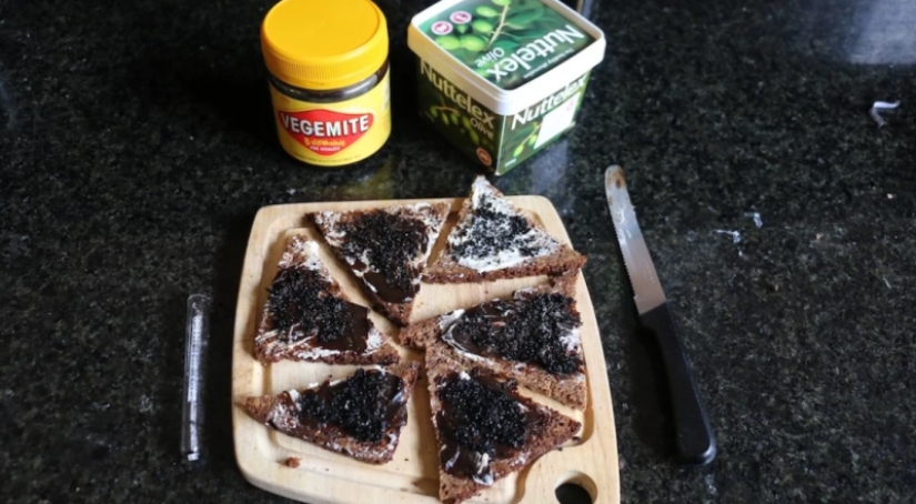 "I started hallucinating and thinking about death": An Australian journalist ate beetles for a week for the sake of an experiment "I started hallucinating and thinking about death": An Australian journalist ate beetles for a week for the sake of an experiment