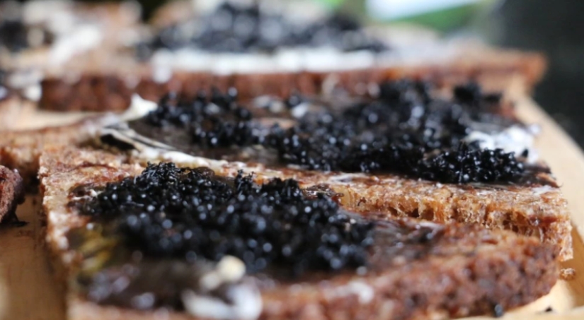 "I started hallucinating and thinking about death": An Australian journalist ate beetles for a week for the sake of an experiment "I started hallucinating and thinking about death": An Australian journalist ate beetles for a week for the sake of an experiment