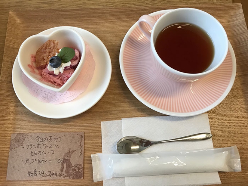 I went to the hospital, but ended up in a restaurant: how patients are fed in Japanese clinics