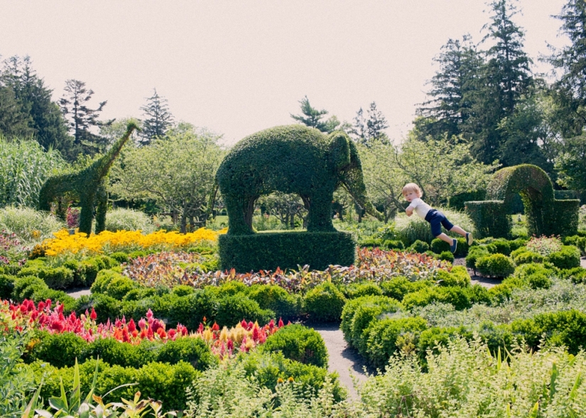 If children could fly