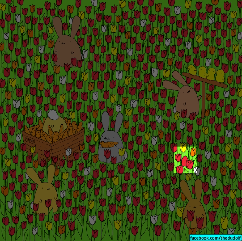 If you can find a bear in this picture, Santa Claus will give you 100 bitcoins