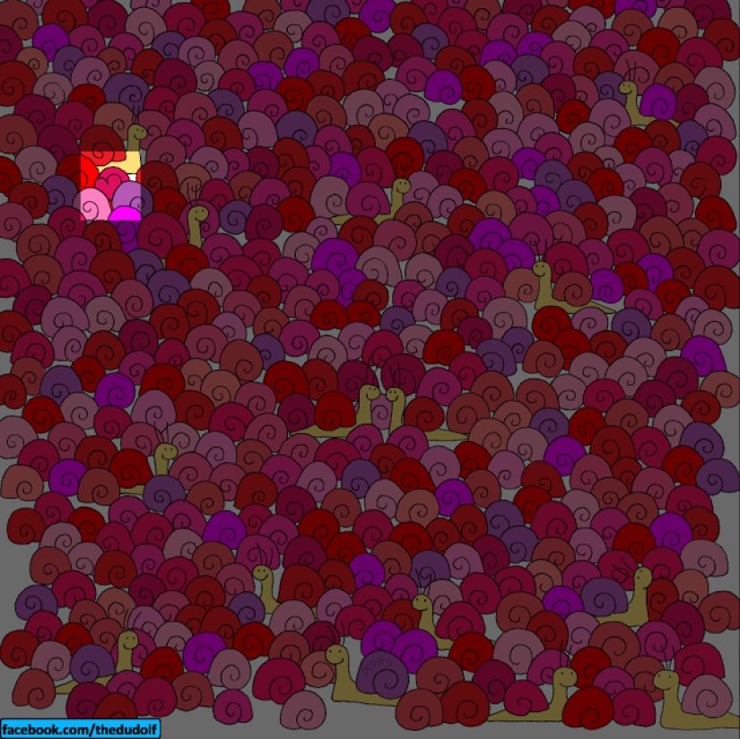 If you can find a bear in this picture, Santa Claus will give you 100 bitcoins