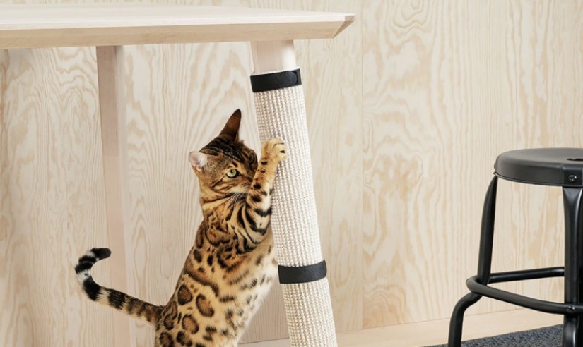 IKEA has released a collection of furniture for pets IKEA has released a collection of furniture for pets