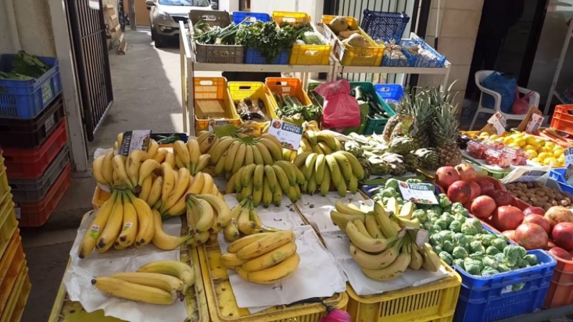 "In a few months you will howl like a wolf": the story of a Muscovite woman who moved to live in Cyprus