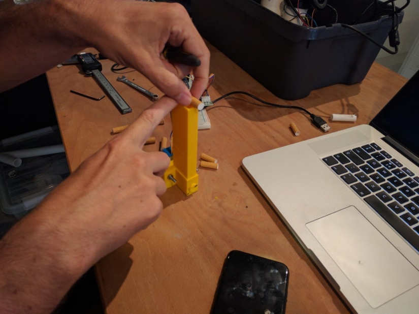 In Amsterdam they want to teach crows to collect cigarette butts