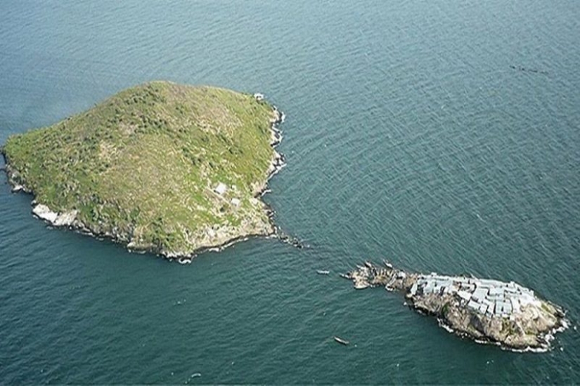 In cramped conditions, but not offended: the most overpopulated island on the planet!
