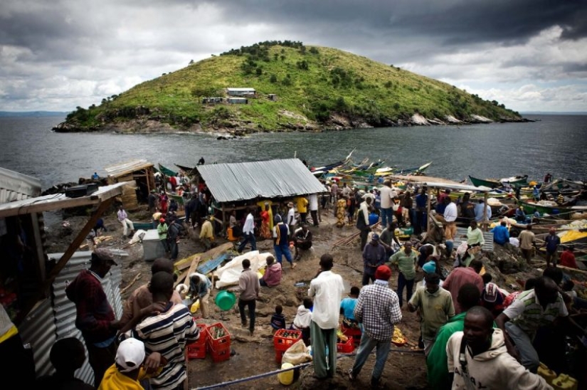 In cramped conditions, but not offended: the most overpopulated island on the planet!