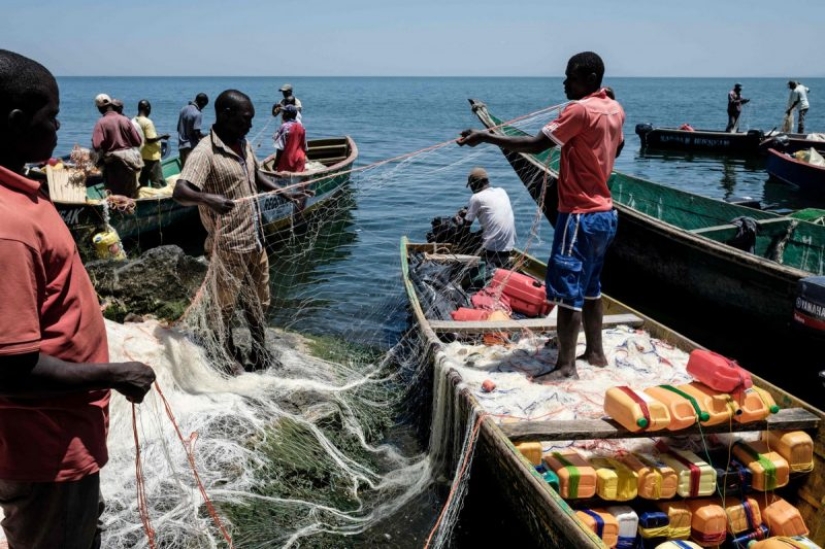 In cramped conditions, but not offended: the most overpopulated island on the planet!