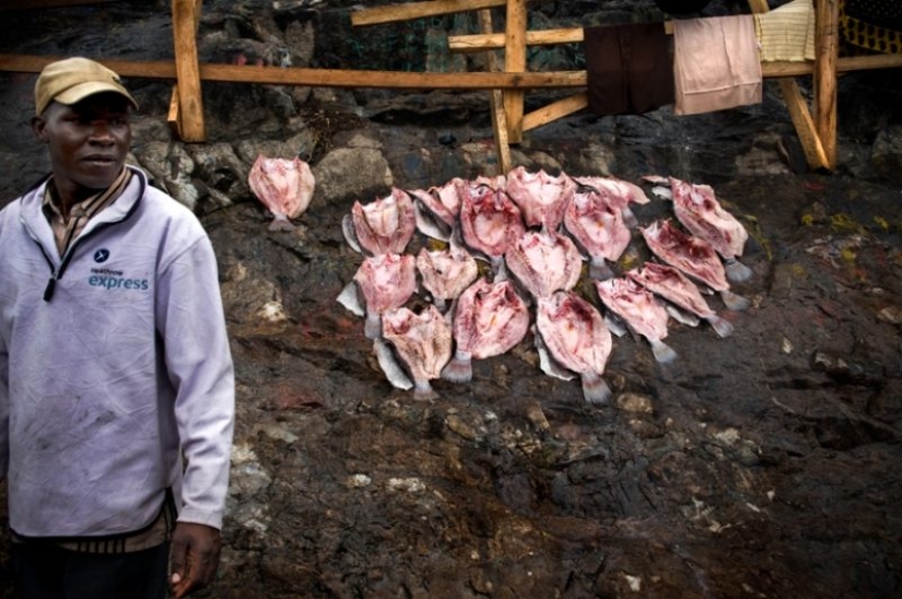 In cramped conditions, but not offended: the most overpopulated island on the planet!