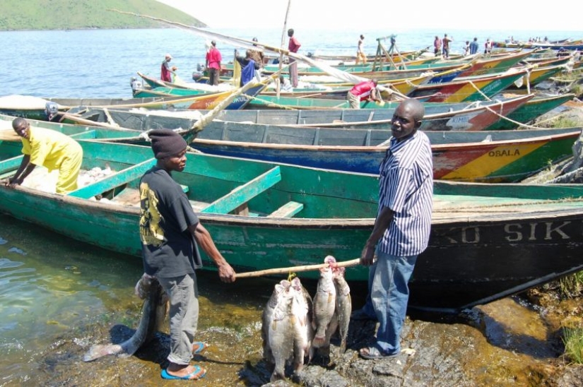 In cramped conditions, but not offended: the most overpopulated island on the planet!