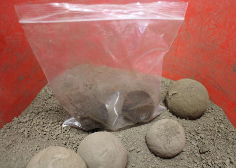 In Japan, they got to the dirt: the Japanese polish balls from the ground to a perfect shine In Japan, they got to the dirt: the Japanese polish balls from the ground to a perfect shine