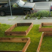 In just 60 days, this guy has grown a cool garden in front of the house