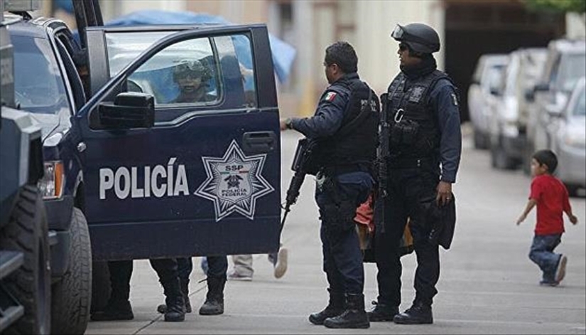 In Mexico, an equipped monkey died in a shootout between drug cartels In Mexico, an equipped monkey died in a shootout between drug cartels