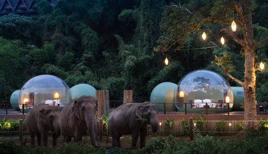 In Thailand, the hotel offers to stay in transparent bubble rooms In Thailand, the hotel offers to stay in transparent bubble rooms