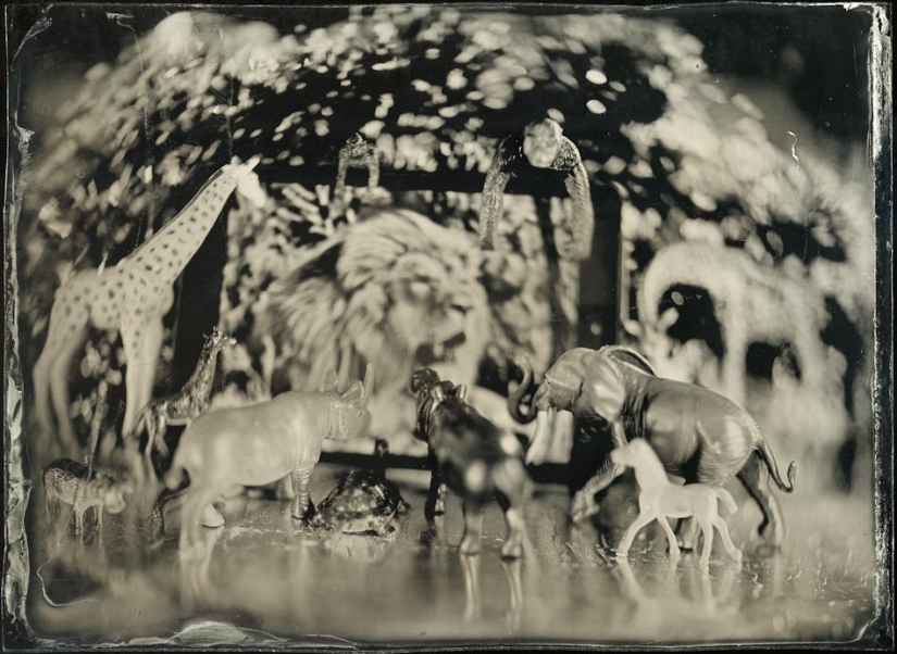 In the fabulous world of ambrotypes In the fabulous world of ambrotypes