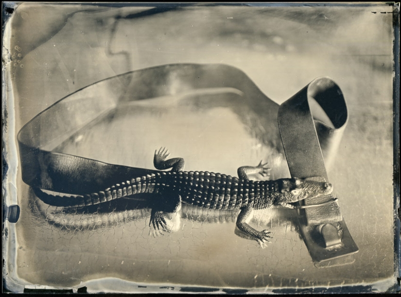 In the fabulous world of ambrotypes In the fabulous world of ambrotypes