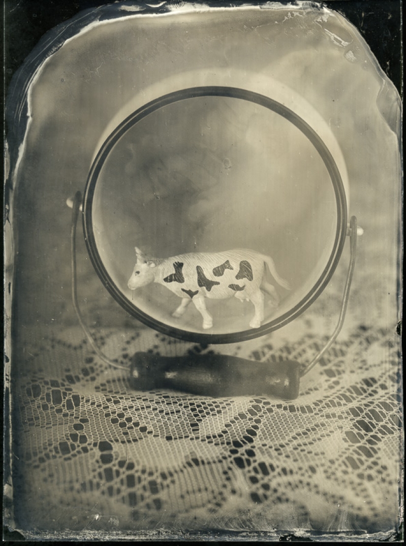 In the fabulous world of ambrotypes In the fabulous world of ambrotypes