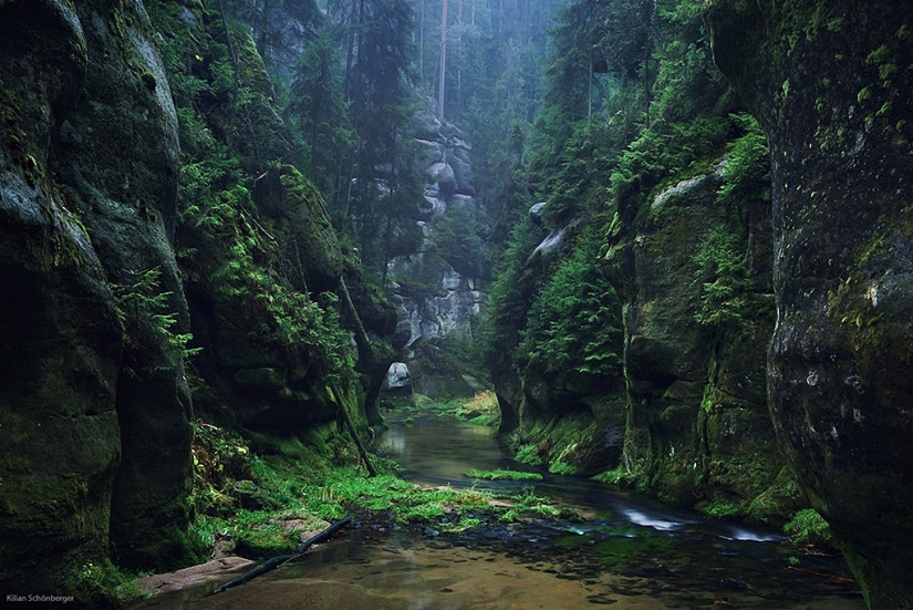 In the footsteps of the Brothers Grimm