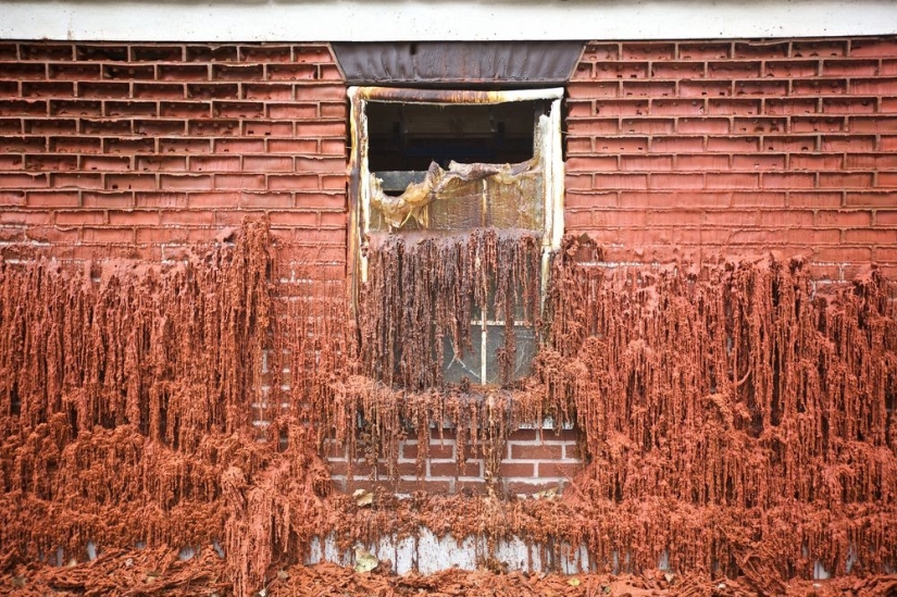 In the hands of this Briton, houses melt, fly and slide to the feet of passers-by In the hands of this Briton, houses melt, fly and slide to the feet of passers-by