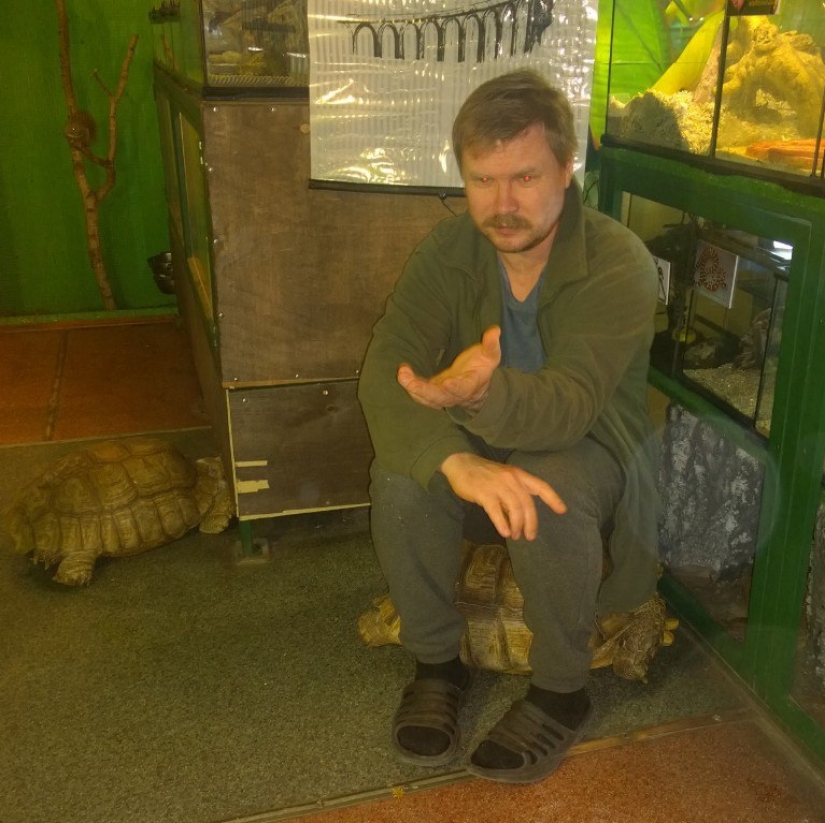 In the Irkutsk zoo, turtles attempted to escape, but they were betrayed by a guard cat