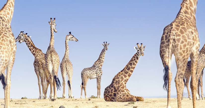 In the lens of nature: stunning images from the 2018 National Geographic Travel Photographer Contest In the lens of nature: stunning images from the 2018 National Geographic Travel Photographer Contest