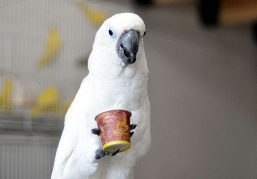 In the world of amazing animals In the world of amazing animals