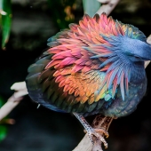 Increíble sauna al aire libre - la más grande del mundo