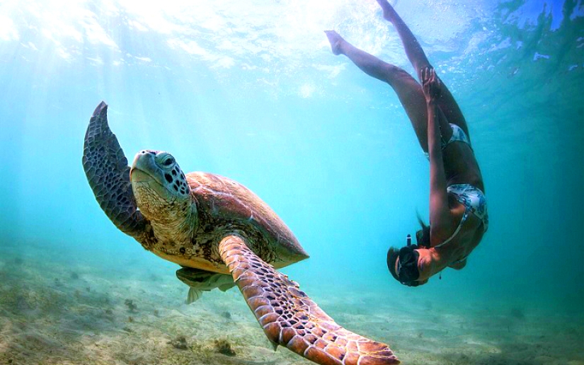 Incredible freediving in the wild
