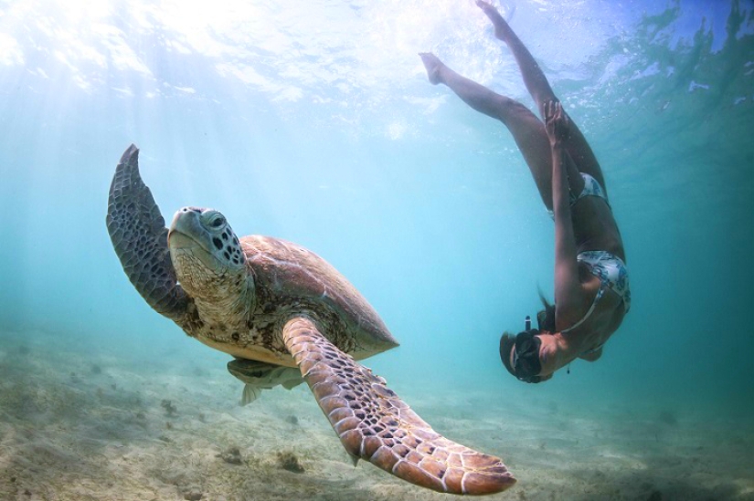 Incredible freediving in the wild