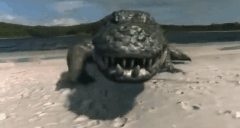 Incredible monsters of the past that lived on Earth Incredible monsters of the past that lived on Earth