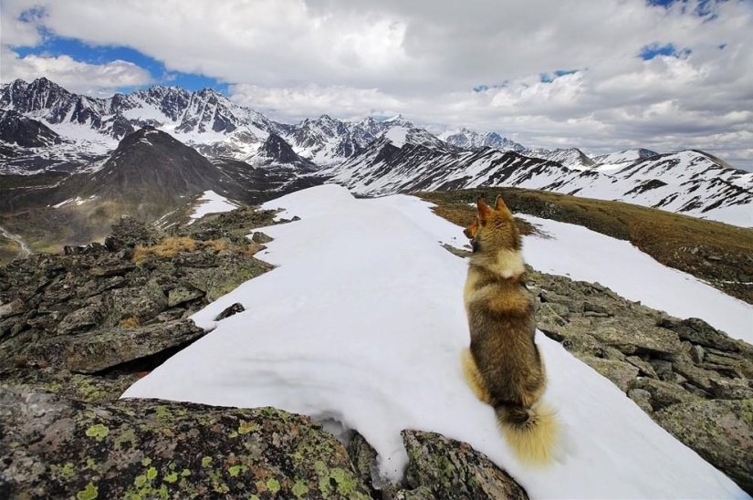 Incredibly beautiful Georgia in the lens of an Argentine photographer