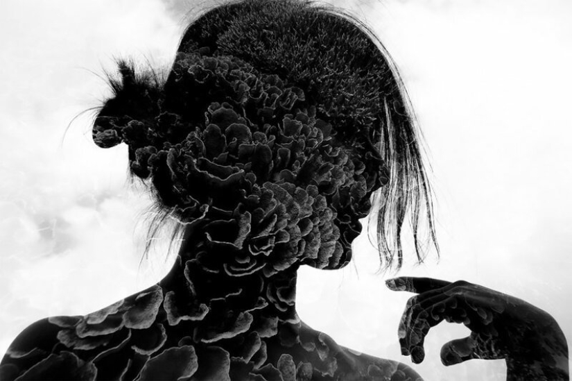 Inmersión total: las mejores fotos del mundo submarino 2020