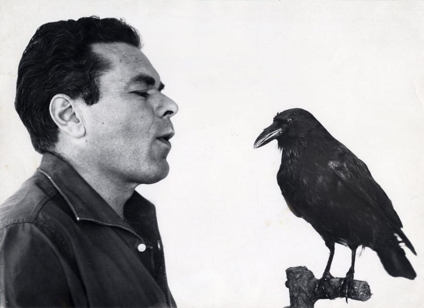 Inspired by Crows: Talented illustrator Paul Flora