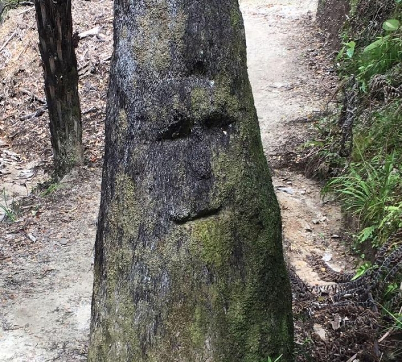 Internet users showed us 15 faces in the most unexpected objects