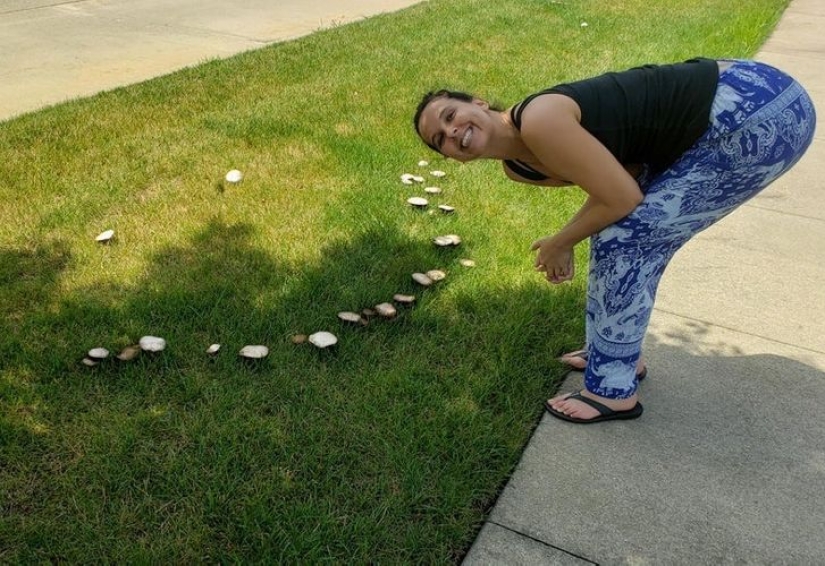 Internet users showed us 15 faces in the most unexpected objects