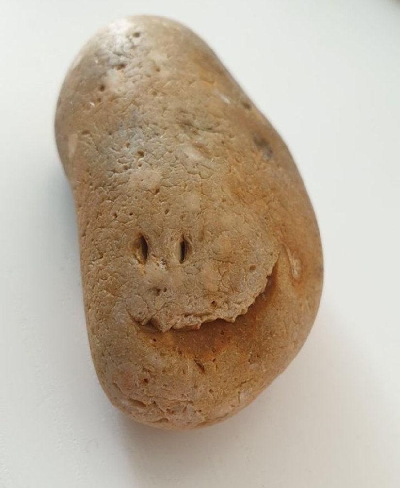 Internet users showed us 15 faces in the most unexpected objects