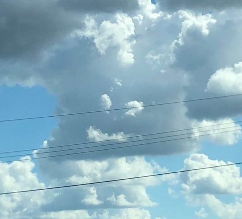 Internet users showed us 15 faces in the most unexpected objects