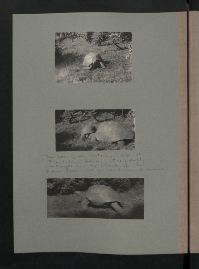 Isla de Santa Elena en blanco y negro Isla de Santa Elena en blanco y negro