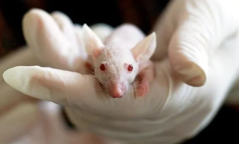 Israeli scientists have found a way to erase the memory of drug addicts