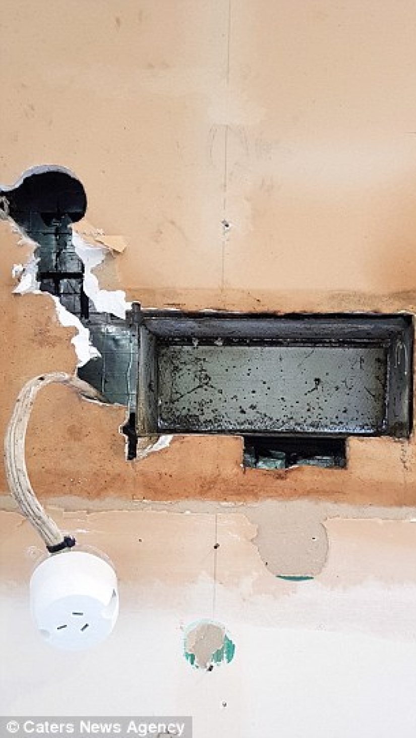 "It's because someone eats too much": possum tried to sneak into the kitchen for a treat, but got stuck halfway "It's because someone eats too much": possum tried to sneak into the kitchen for a treat, but got stuck halfway