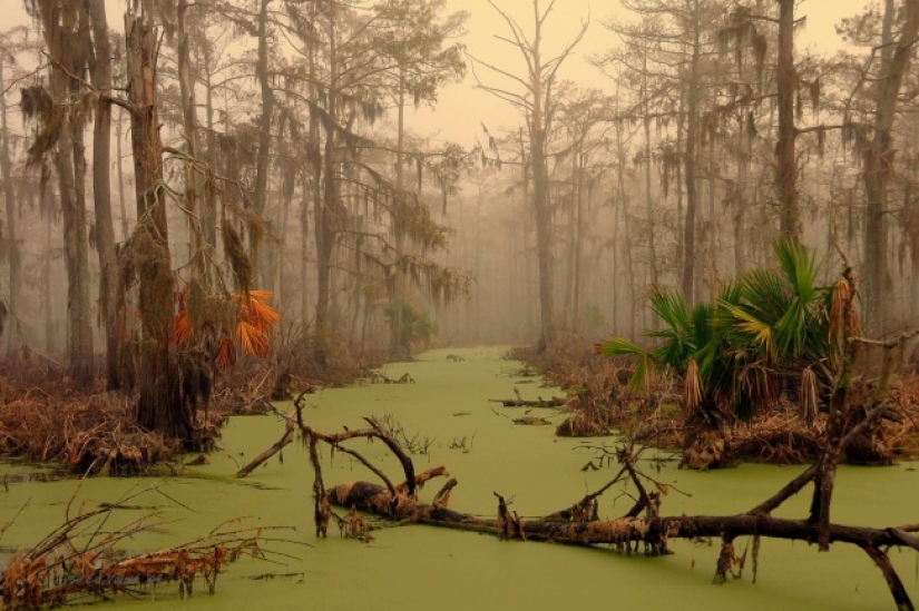 It's creepy how beautiful: photos that make you feel hot and cold at the same time