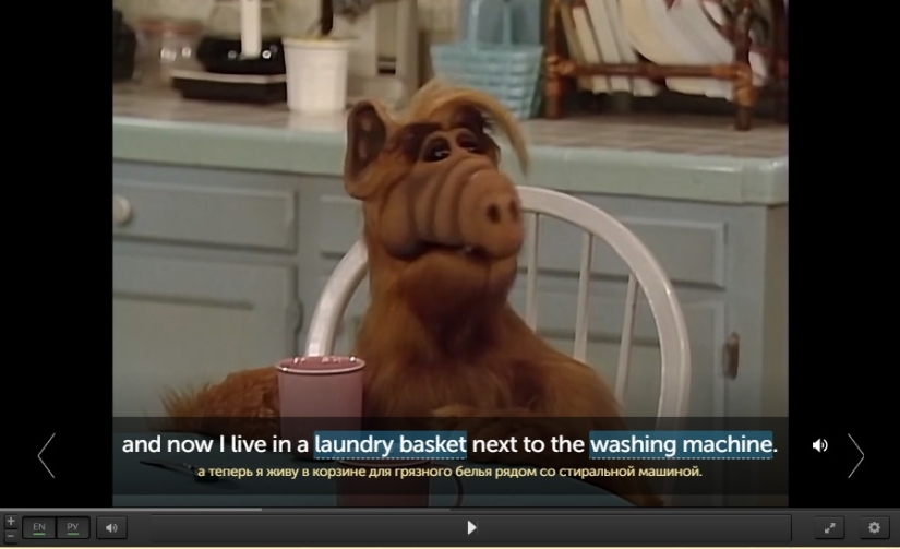 It's time! A selection of online services that will help you go to success