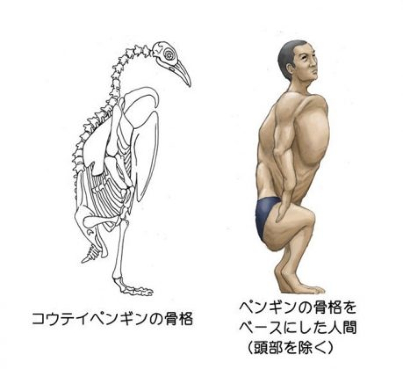 Japanese illustrator shows what people would look like if we had the bones of various animals
